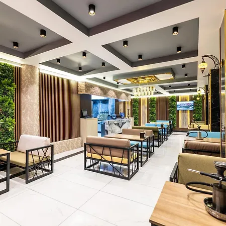 酒店 伊斯坦布尔麦阿索斯酒店